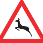 Wildwechsel