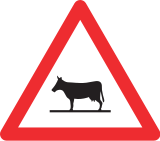 Tiere (Kuh)